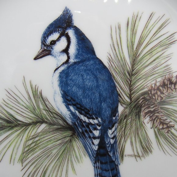 BEAUTIFUL BLUE JAY COLLECTOR PLATE "WHISPERING PINES-BLUE JAY" . - Picture 5 of 7